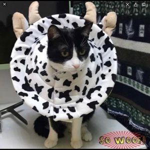 Soft & Fun Dog & Cat Recovery Collar Cow